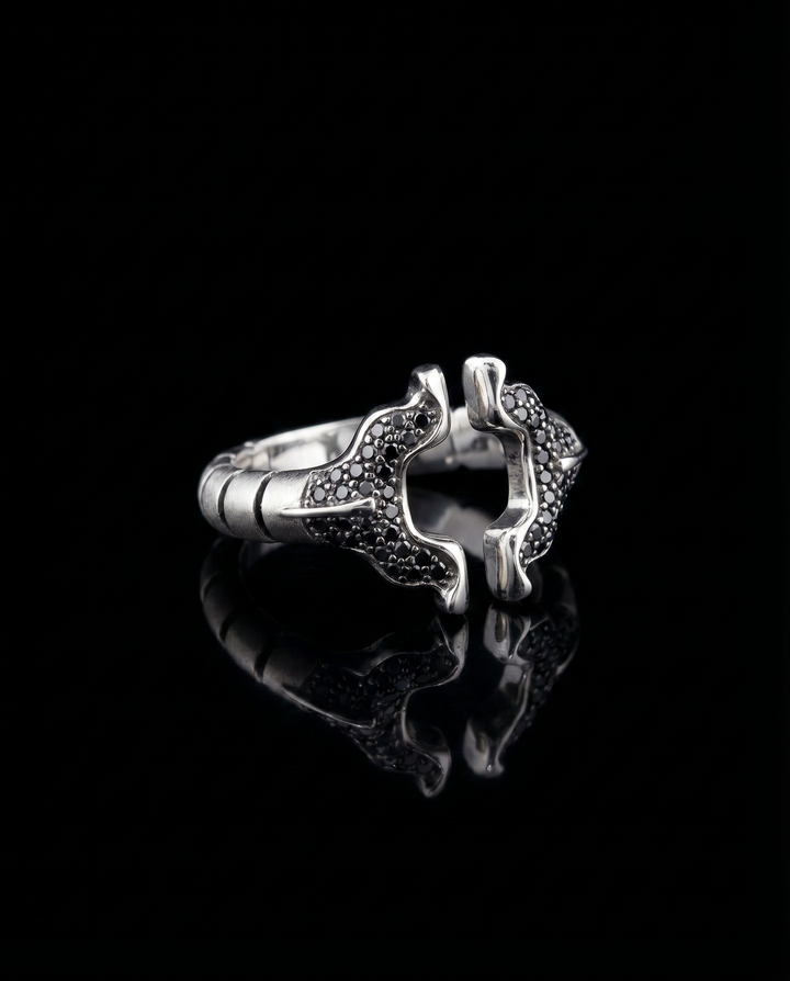 STERLING SILVER APERTURA RINGS