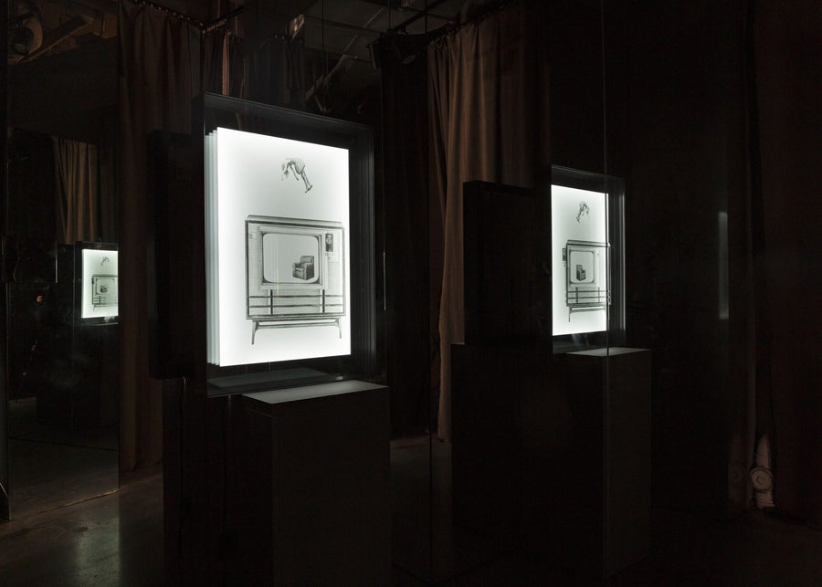 Light box installation by Julius Margulies