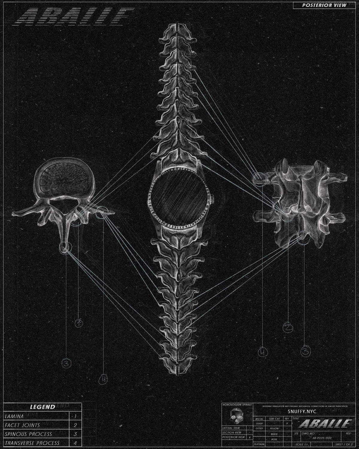 Vertebral anatomy: the design system behind every ABALLE piece