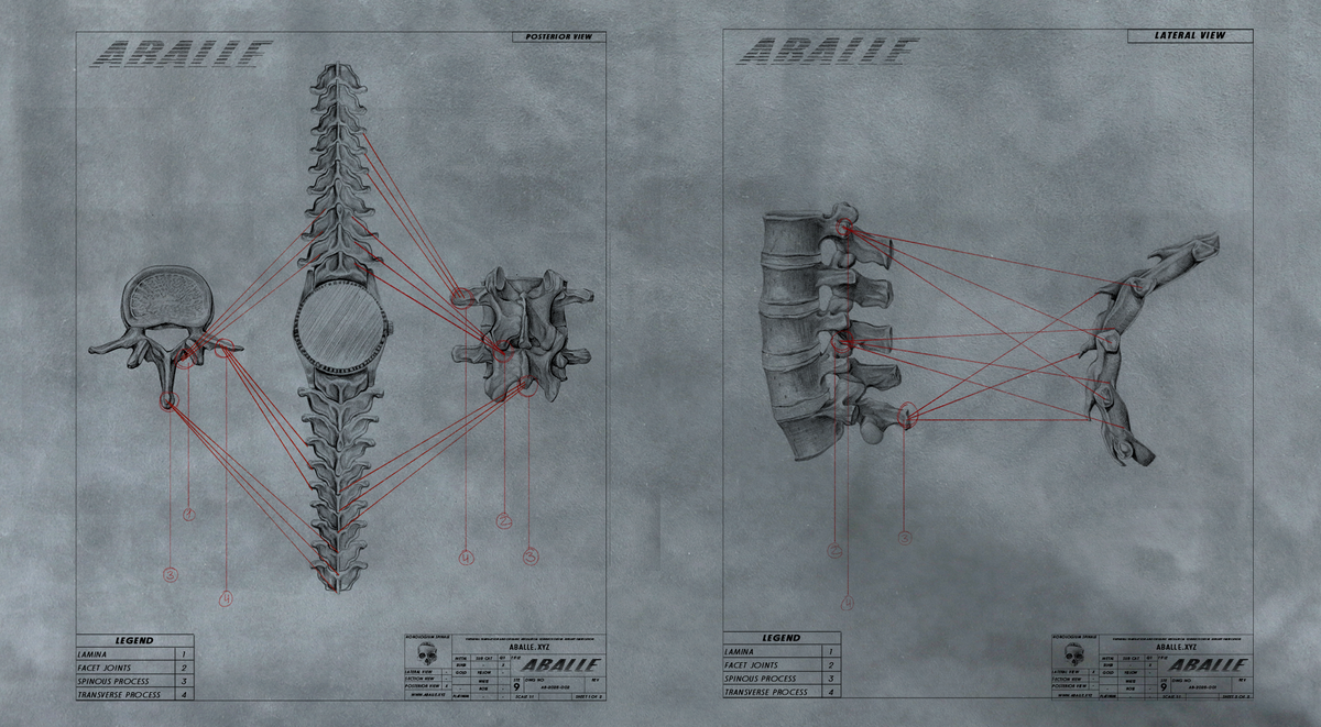 ABALLE anatomical plates: posterior and lateral views